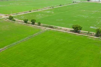 project_overview_img